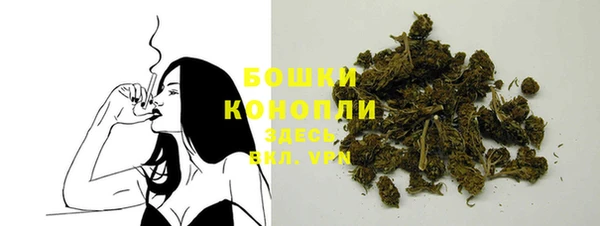 мяу мяу мука Коряжма