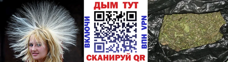 Купить закладки  Люберцы  Бошки Шишки индика 